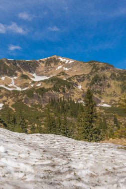 Dağ aralığı Marmarosa. Pip Ivan Dağı. Karpatlar 