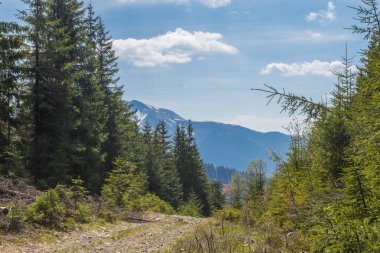 Dağ aralığı Marmarosa. Pip Ivan Dağı. Karpatlar 