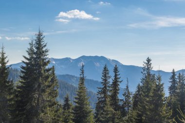 Dağ aralığı Marmarosa. Pip Ivan Dağı. Karpatlar 