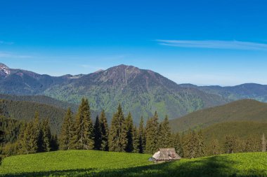 Dağ aralığı Marmarosa. Pip Ivan Dağı. Karpatlar 