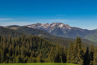 Dağ aralığı Marmarosa. Pip Ivan Dağı. Karpatlar 