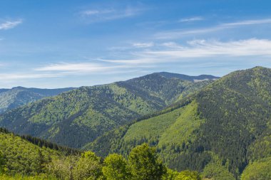 Dağ aralığı Marmarosa. Pip Ivan Dağı. Karpatlar 