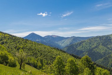 Dağ aralığı Marmarosa. Pip Ivan Dağı. Karpatlar 