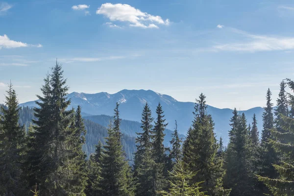 Dağ aralığı Marmarosa. Pip Ivan Dağı. Karpatlar 