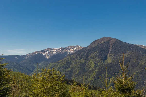 Dağ aralığı Marmarosa. Pip Ivan Dağı. Karpatlar 