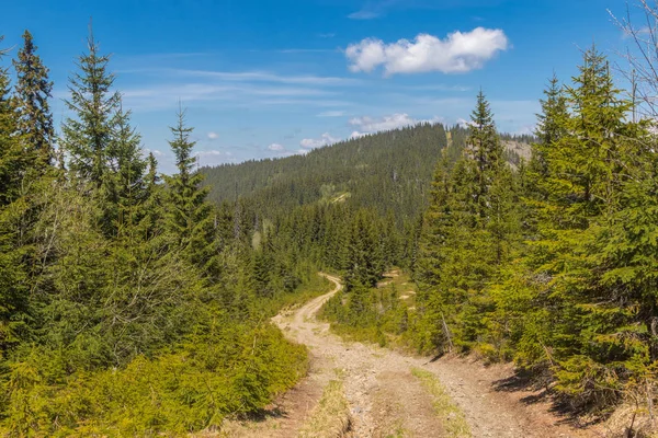 Mountain Range Marmarosa Pip Ivan Mountain Carpathians Stock Picture