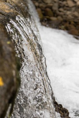 Karpat Dağları'nda bir dağ dere. Karpatlar güzel görünümü