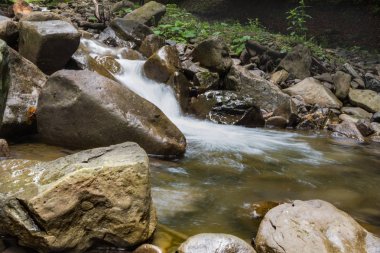 Karpat Dağları'nda bir dağ dere. Karpatlar güzel görünümü