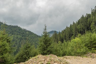 Karpatlar güzel görünümü