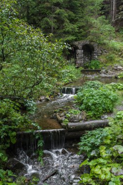 Karpat Dağları'nda bir dağ dere. Karpatlar güzel görünümü