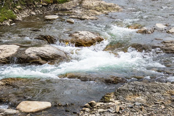 Karpat Dağları'nda bir dağ dere. Karpatlar güzel görünümü