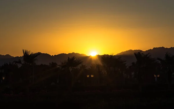 Zonsondergang Woestijn Van Sharm Sheikh Stockfoto