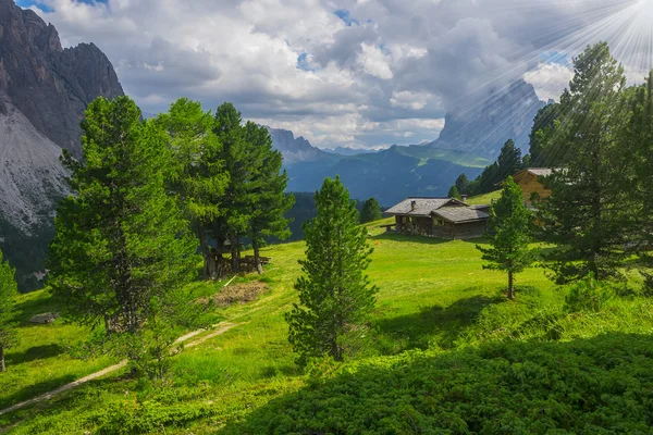 Sunlit picturesque meadow with traditional wooden alpine hut