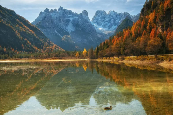 Hösten scenery sjön Landro i dolomit Alperna, Italien — Stockfoto