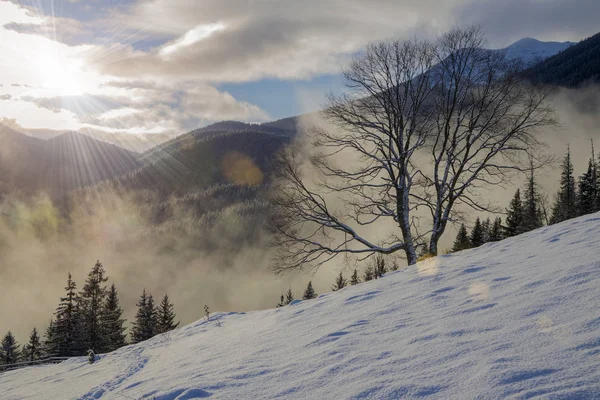 Prachtige winterlandschap met de rijzende zon — Stockfoto