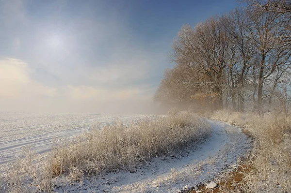 Neblig-frostiger Wintermorgen — Stockfoto