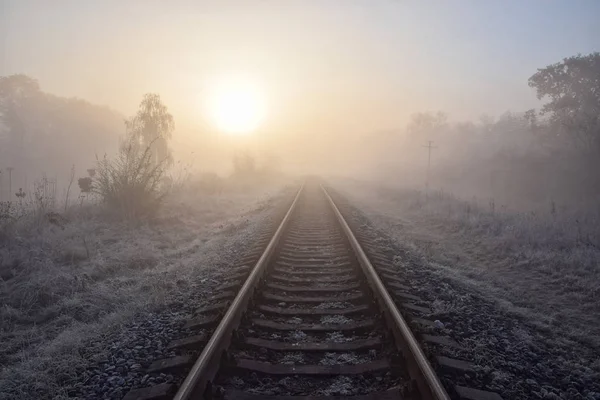 Scenic view of railway going straight ahead to rising sun