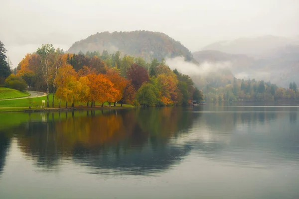 Vista panorâmica de árvores coloridas refletidas na água do lago — Fotografia de Stock