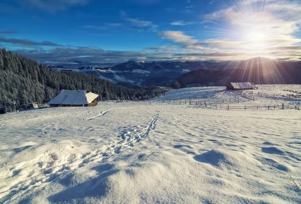 Зимний пейзаж гор в солнечное утро — стоковое фото