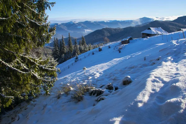 Winter bergen landschap op zonnige ochtend — Stockfoto