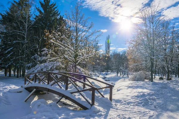 Дерев'яний міст, вкритий свіжим снігом в зимовому парку — стокове фото