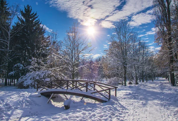 Pont en bois recouvert de neige fraîche dans le parc d'hiver — Photo