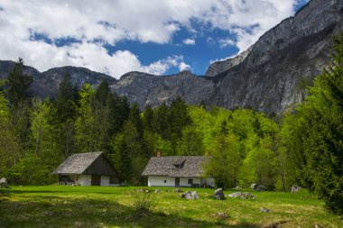 Bohinj Vadisi Slovenya