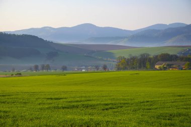 Arka plan dağlarda, Mısır alan yatay