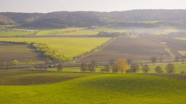 Arka plan dağlarda, Mısır alan yatay