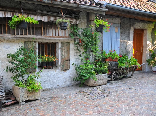 Gevel van Franse huis met deur en venster versierd met verse planten — Stockfoto