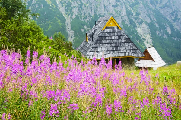 Schilderachtig uitzicht op wild roze bloemen en houten hutten op achtergrond — Stockfoto