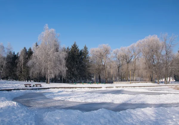 Вид на зимовий парк — стокове фото