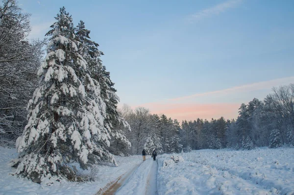 Дві фігури на дорозі в зимовому лісі на заході сонця — стокове фото