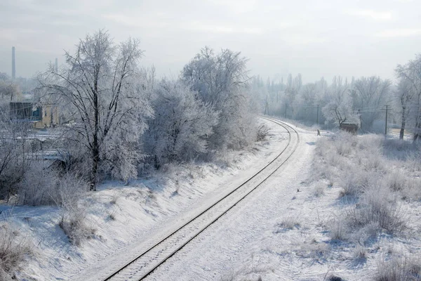 Malerischer Blick auf die Eisenbahn entlang verschneiter Bäume — Stockfoto