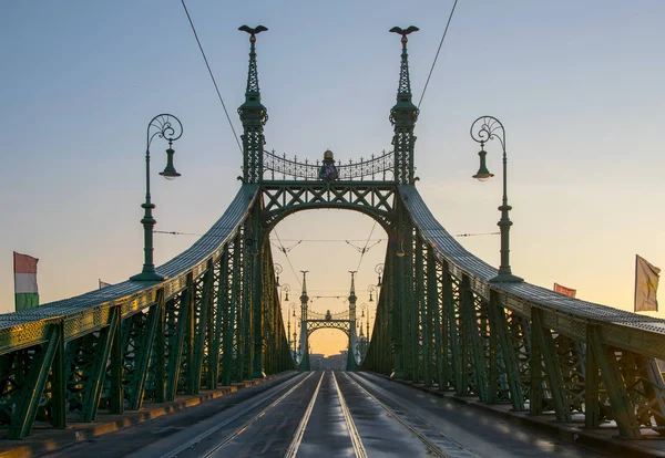 Malerischer Blick auf die Freiheitsbrücke bei Budapest — Stockfoto