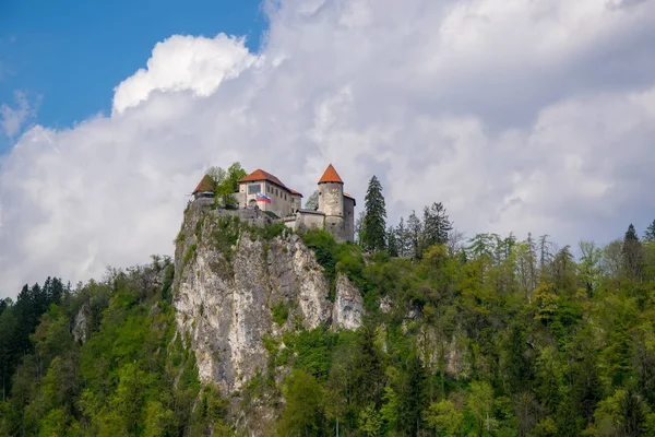 Scenic view of Bled castle on the rock, Slovenia — Stock Photo, Image