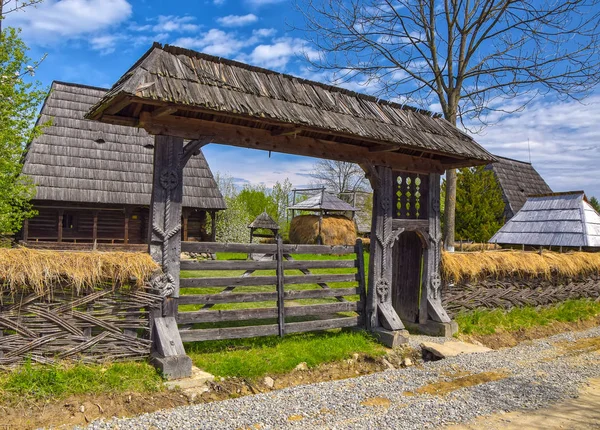 Porte Traditionnelle Roumaine Bois Dans Région Maramures Roumanie — Photo