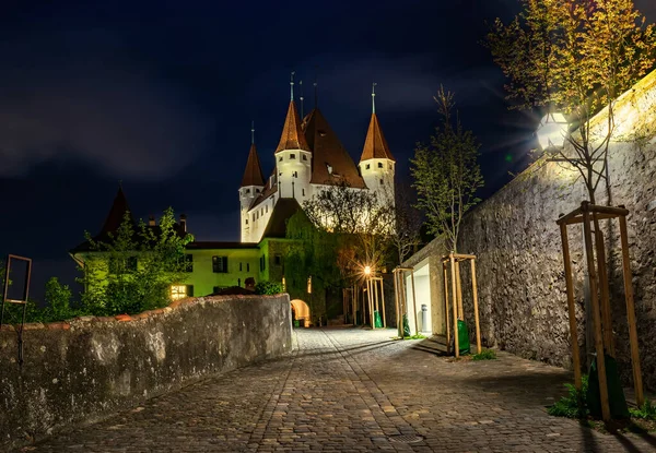 Paisaje nocturno del castillo de Thun en la ciudad de Thun, Bernese Oberland, Suiza — Foto de Stock