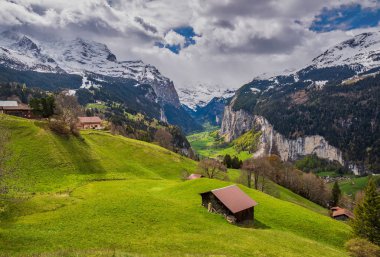 Wengen Köyü ve Lauterbrunnen Vadisi, Bernese Oberland, İsviçre 'deki güneşli çayır manzarası.