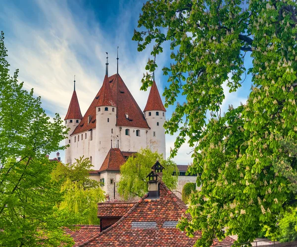 Picturesque View Thun Castle City Thun Canton Bern Switzerland Branches — Stock Photo, Image