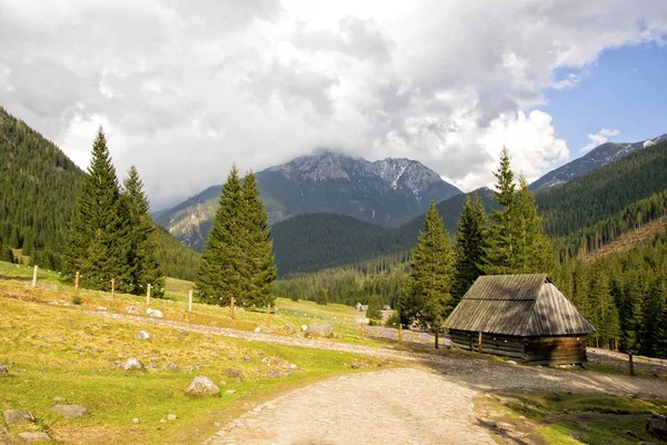 Chocholowska Valley Tatrabergen Solig Vårdag Polen — Stockfoto