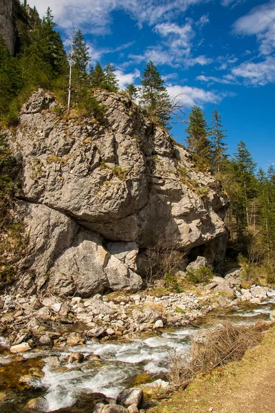 Rápida Cala Rocas Camino Famosa Limpieza Chocholowska Montañas Tatra Polonia — Foto de Stock