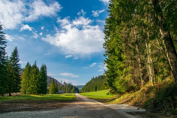 Schotterpiste Koscieliska Tal Der Tatra Der Nähe Des Berühmten Skiortes — Stockfoto