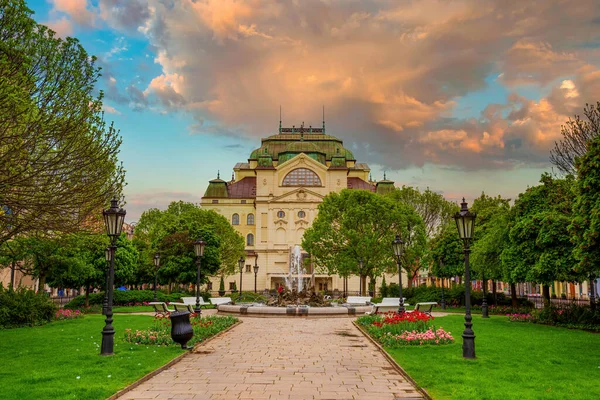 Nádherný Výhled Hlavní Náměstí Košicích Trávníkem Záhony Kvetoucími Tulipány Kašnou — Stock fotografie