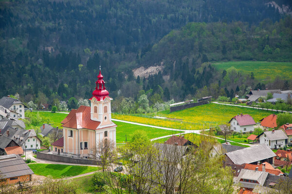 Church of Saint George and meadows with blooming dangelions in Zasip village, Slovenia near famous Bled Lake at spring sunny day