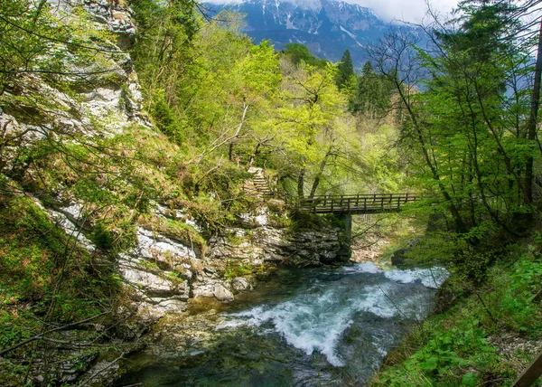 Vista Superior Del Río Radovna Final Garganta Vintgar Cayendo Cascada — Foto de Stock