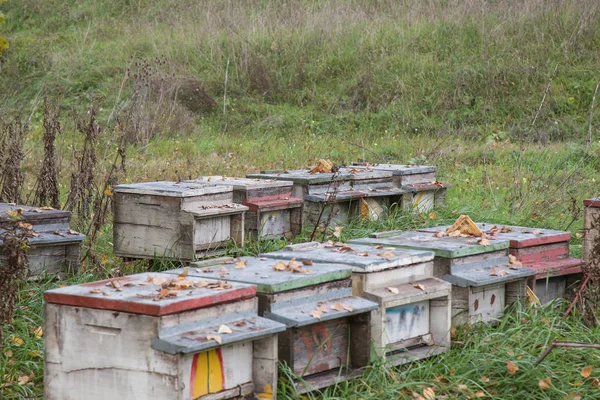 Ruches pour abeilles — Photo