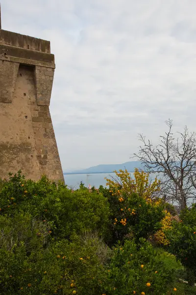 Orange next to the fortress — Stock Photo, Image