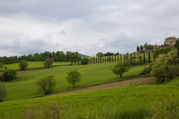 Panorama of Umbria countryside — Stock Photo, Image