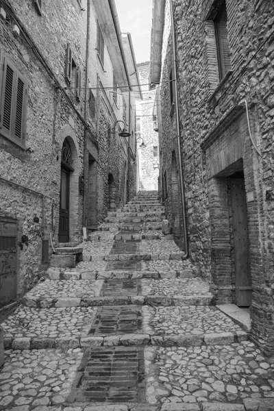 Alley subida com uma escada longa — Fotografia de Stock
